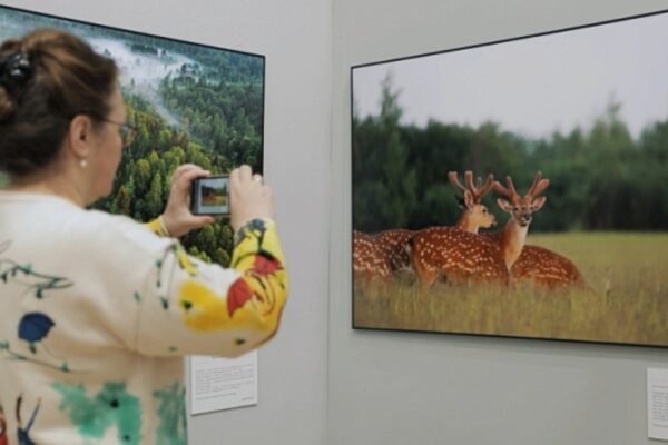 Más de 500 obras se presentaron en el Festival de Naturaleza y Fotografía “Pristine Russia”.