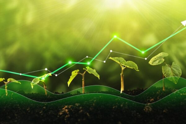 Gobierno de Brasil lanzará programa de Reforma Agraria.