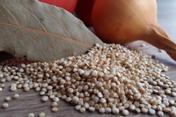 El superalimento boliviano elegido por la NASA: así avanza la industrialización de la quinoa.