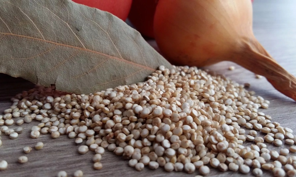 El superalimento boliviano elegido por la NASA: así avanza la industrialización de la quinoa.