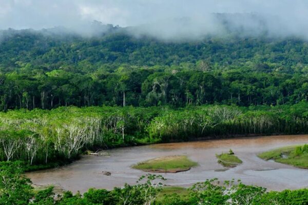 Brasil invertirá cerca de $ 400 millones en plan de seguridad para la Amazonia.