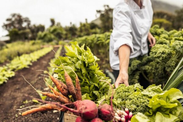 El sector agrícola de Sudáfrica aspira a ampliar los mercados de exportación.