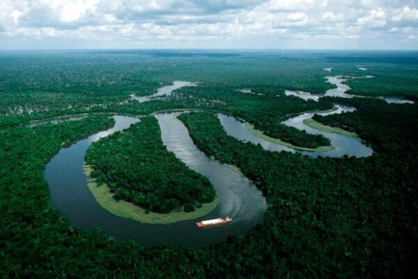 Descubrieron una red de ciudades, rutas y granjas de hace 2500 años en el Amazonas.