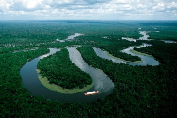 Bajó la deforestación en la selva amazónica de Brasil.