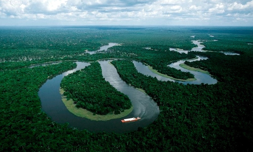 Bajó la deforestación en la selva amazónica de Brasil.