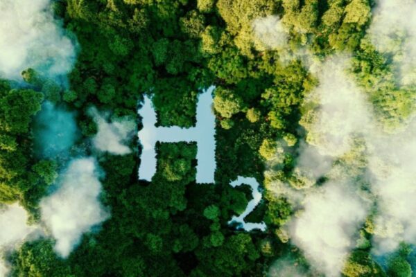 Egipto firma acuerdos sobre proyectos de energía verde.