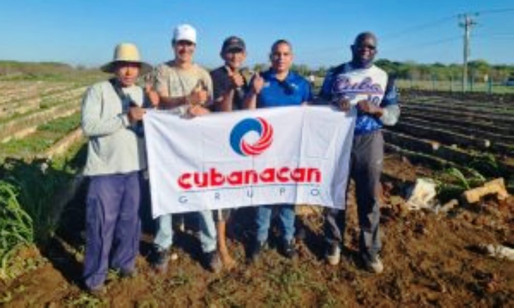Sector turístico de Cuba es destacado por su labor social.