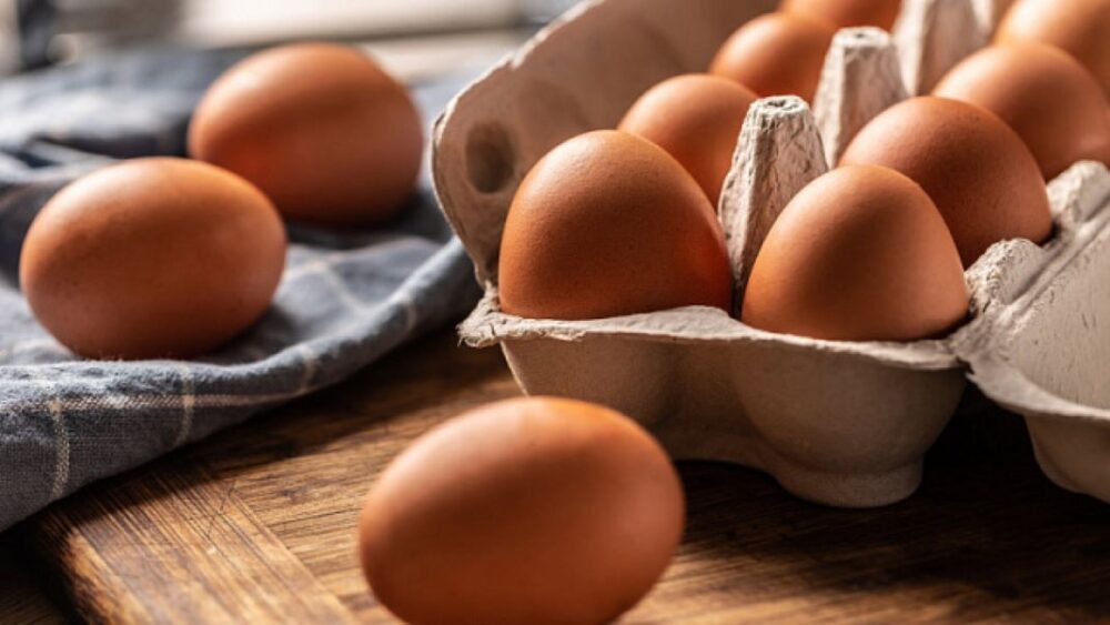 Irán exporta por primera vez un lote de huevos a Rusia