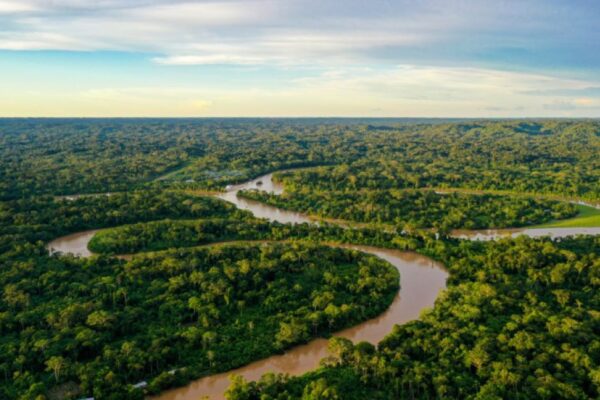 Las autoridades brasileñas adoptaron un pacto ambiental