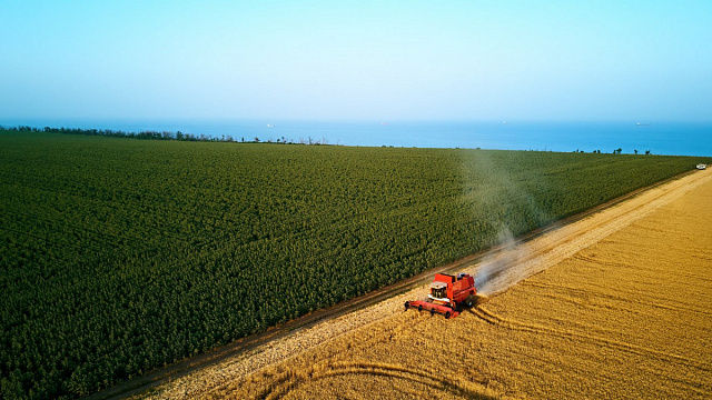 Etiopía siembra 10 millones de hectáreas con el método de agricultura en racimo