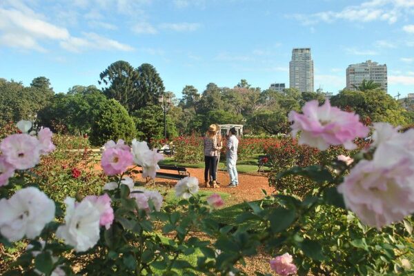 Argentina | Primavera argentina: flores, frutos y paisajes que te enamorarán