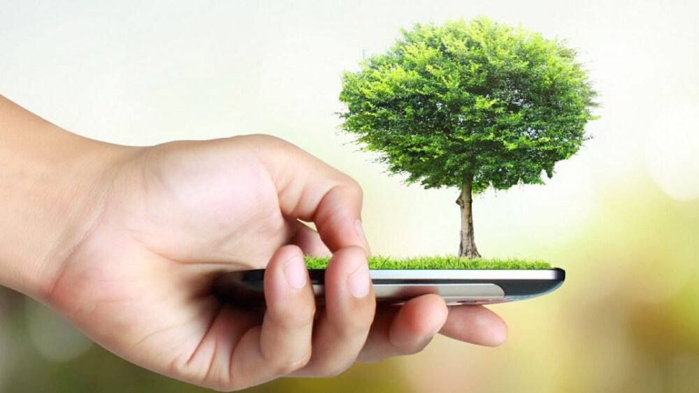 Ciudadanos sauditas pueden plantar árboles desde su teléfono móvil