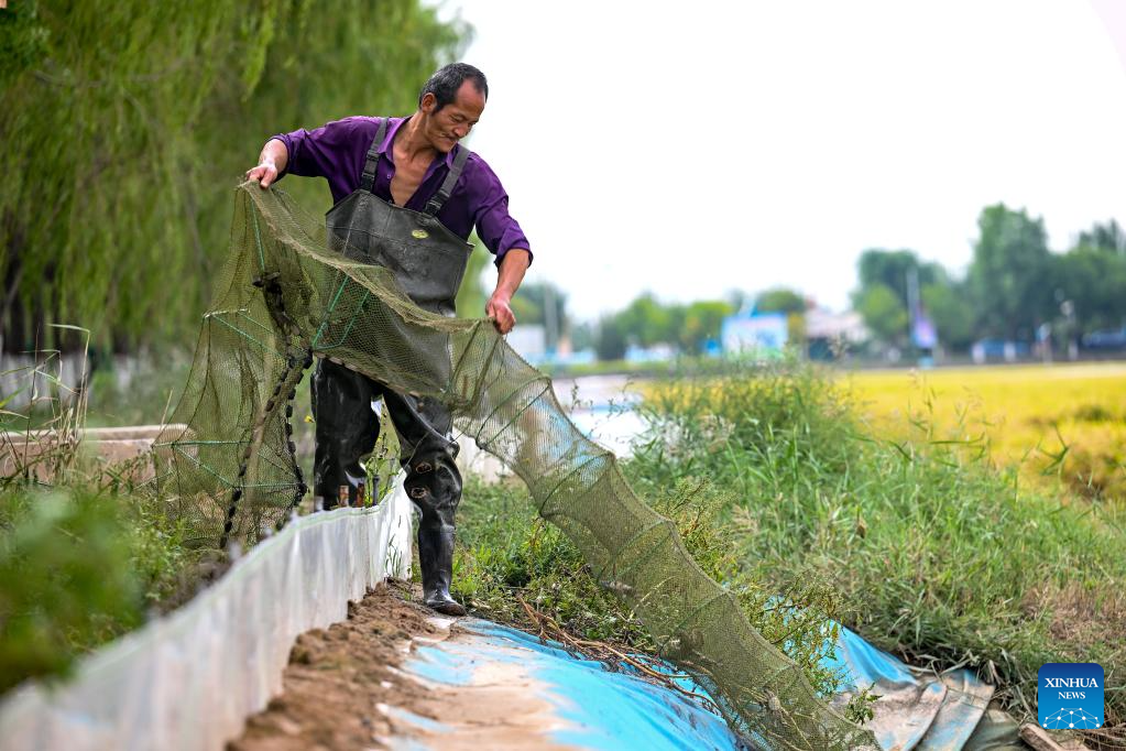 China | Yinchuan ha desarrollado vigorosamente la pesca en los últimos años