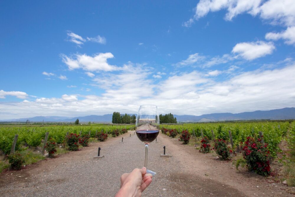 Argentina | Qué hacer en Mendoza: vinos y bodegas para visitar (¡y probar!)