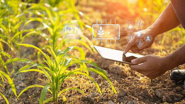Sector agrícola contribuye al acelerado crecimiento económico de Arabia Saudita