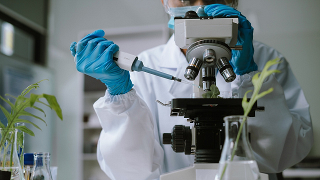Arabia Saudita se propone impulsar ciencias biomédicas en microgravedad