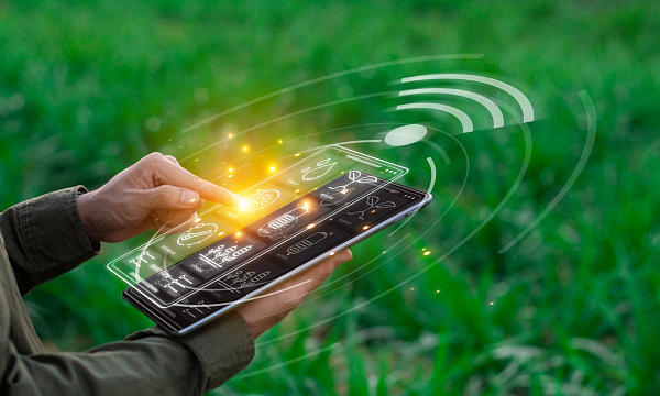 China desarrolla sistemas inteligentes de monitoreo y alerta temprana para plagas y enfermedades de plantas