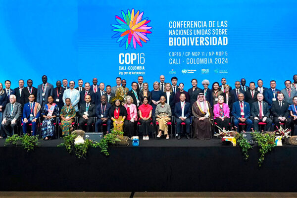 Colombia | Balance COP16: Lo más destacado de la cumbre de la Conferencia de las Partes de Biodiversidad (COP16) en Cali