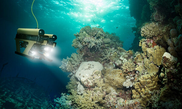 Irán ha desarrollado una tecnología para la investigación marina a más de 2.000 metros de profundidad Irán ha desarrollado una tecnología para la investigación marina a más de 2.000 metros de profundidad
