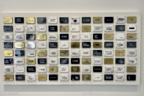 Argentina | La obra como proceso y como acto de memoria  | Exposicion de Dina Roisman en el Conti