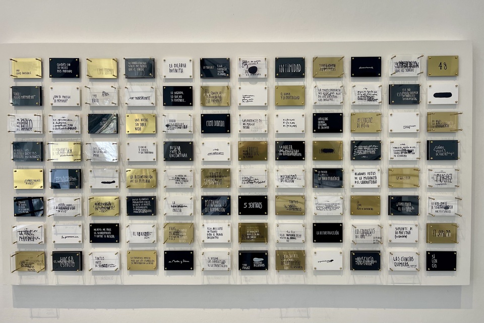 Argentina | La obra como proceso y como acto de memoria  | Exposicion de Dina Roisman en el Conti