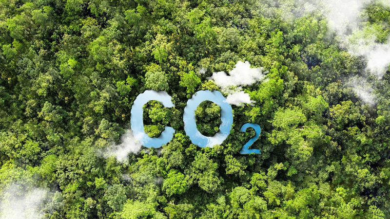 Brasil reduce un 12% sus emisiones de gases de efecto invernadero