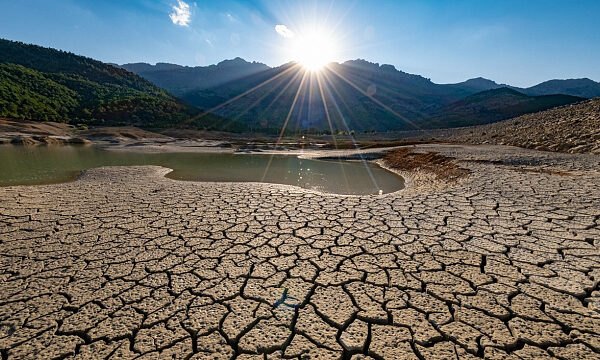 Arabia Saudita acoge la COP16 con la primera Zona Verde y jornadas temáticas para combatir la desertificación