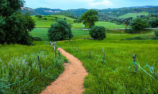 Etiopía lanza Iniciativa de Corredores Rurales para mejorar la vida de las comunidades agrícolas