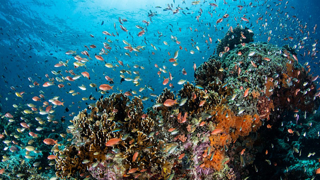 India lanza una histórica subasta de minerales submarinos para aprovechar sus vastos recursos en el mar
