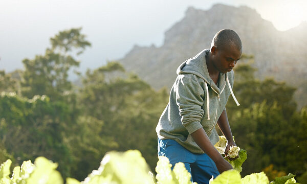 Iniciativa de agricultura inclusiva transforma comunidades en Sudáfrica