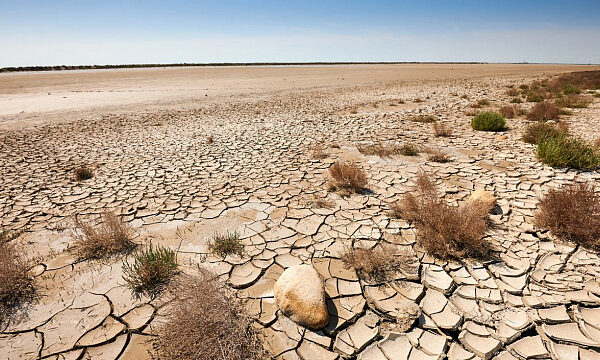 Irán y Arabia Saudita promueven cooperación regional contra la desertificación en la COP16