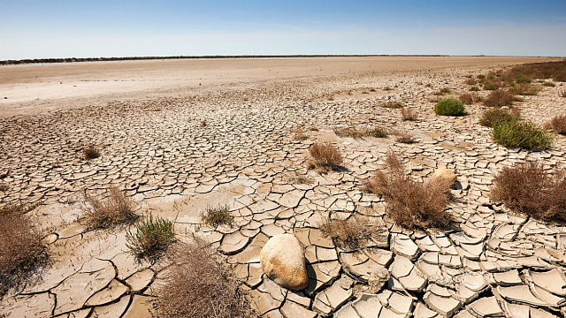 Irán y Arabia Saudita promueven cooperación regional contra la desertificación en la COP16