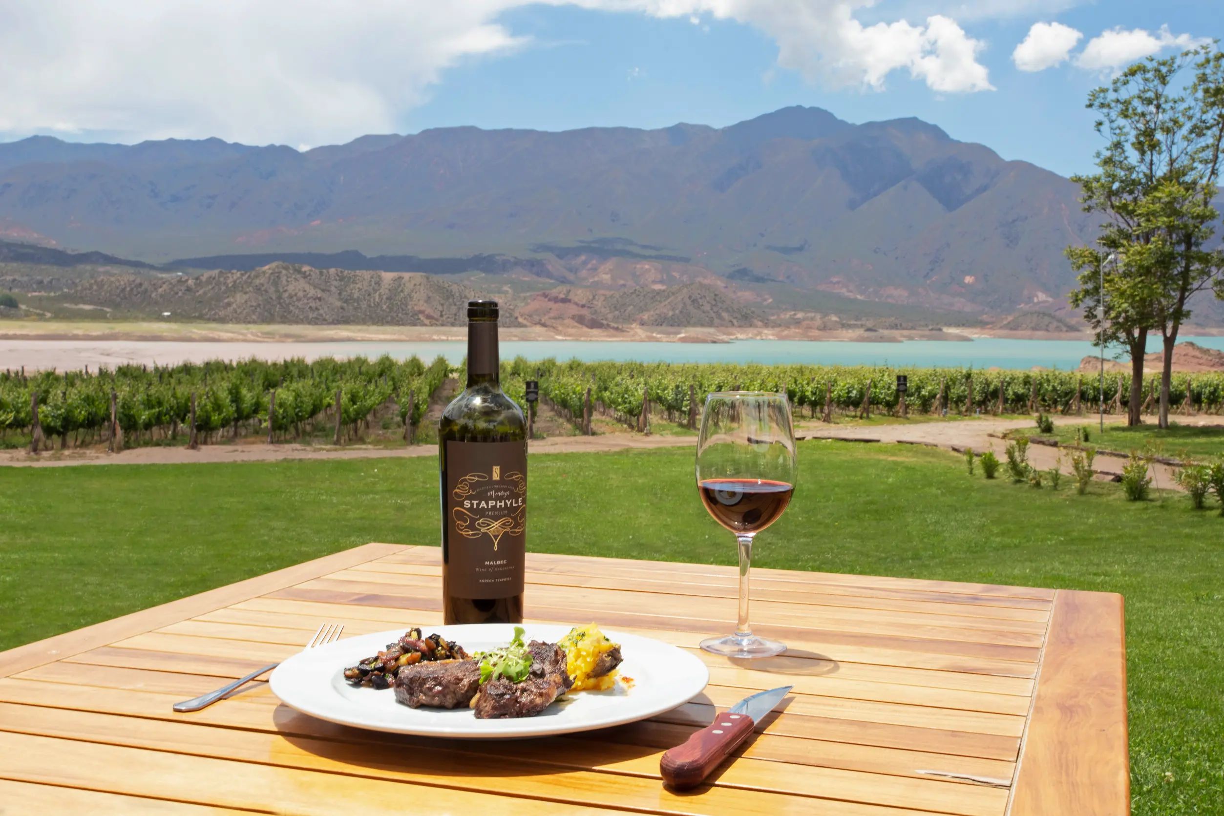 Argentina | Mendoza: La capital del vino argentino