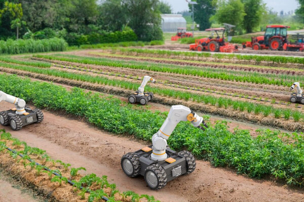 Estudiantes argentinos desarrollan innovadores robots agrícolas y un simulador de tractor