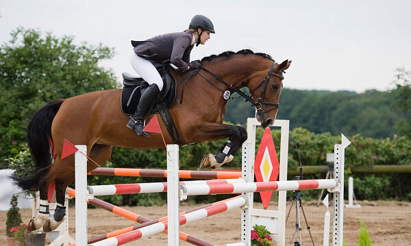Copa de los Emiratos Árabes Unidos de salto de obstáculos que se celebrará en Rusia