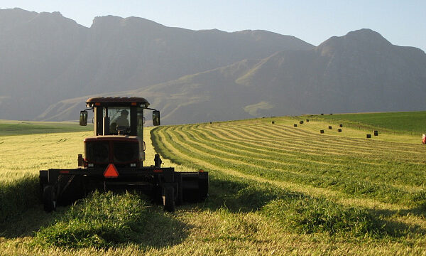 Sudáfrica registra un importante crecimiento de las exportaciones agrícolas