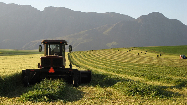 Sudáfrica registra un importante crecimiento de las exportaciones agrícolas