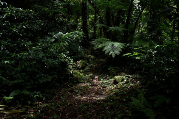 Costa Rica | Parque Nacional del Agua y reserva universitaria se entrelazan con nuevos corredores biológicos