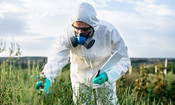 China completa una encuesta exhaustiva de recursos genéticos agrícolas con descubrimientos innovadores