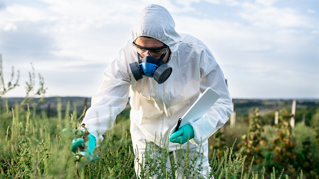 China completa una encuesta exhaustiva de recursos genéticos agrícolas con descubrimientos innovadores