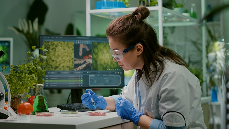 Presidente de Brasil promulga ley de bioinsumos para impulsar la agricultura sostenible