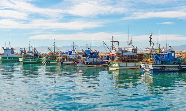 Sudáfrica incrementa cuotas de pesca para impulsar el sector 