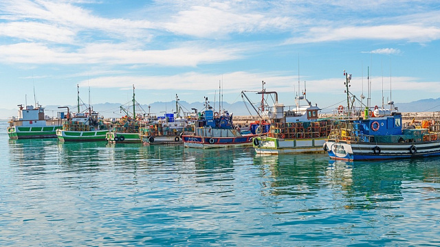 Sudáfrica incrementa cuotas de pesca para impulsar el sector 