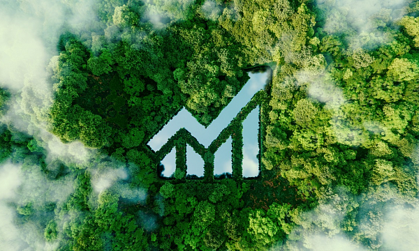 India espera un crecimiento de cinco veces en inversiones verdes para 2030