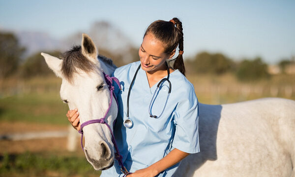 Etiopía será sede de la Conferencia Regional Africana de Salud Animal 2025