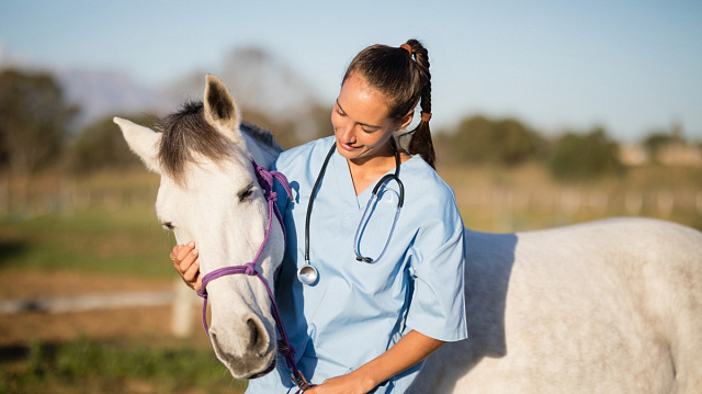 Etiopía será sede de la Conferencia Regional Africana de Salud Animal 2025