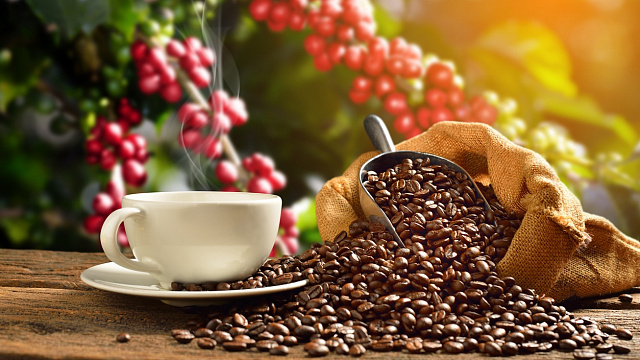 India se consolida como uno de los principales productores de café del mundo