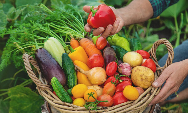 Etiopía se proyecta como uno de los principales exportadores de alimentos de África Etiopía se proyecta como uno de los principales exportadores de alimentos de África
