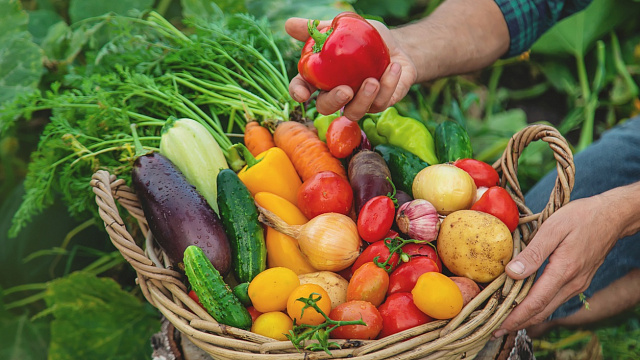 Etiopía se proyecta como uno de los principales exportadores de alimentos de África