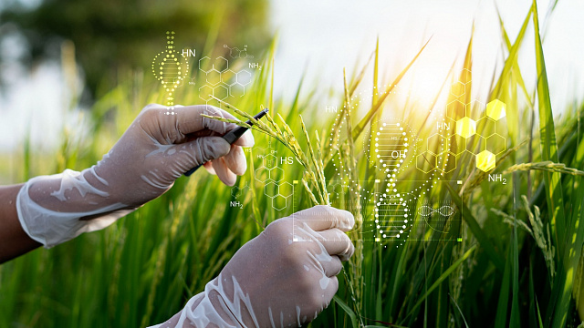 Egipto e India establecen nuevas alianzas en ciencia y tecnología agrícola